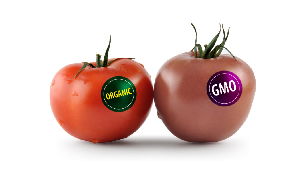 gmos-vs-organic-foods