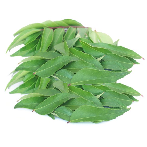 Nigerian Curry Leaf